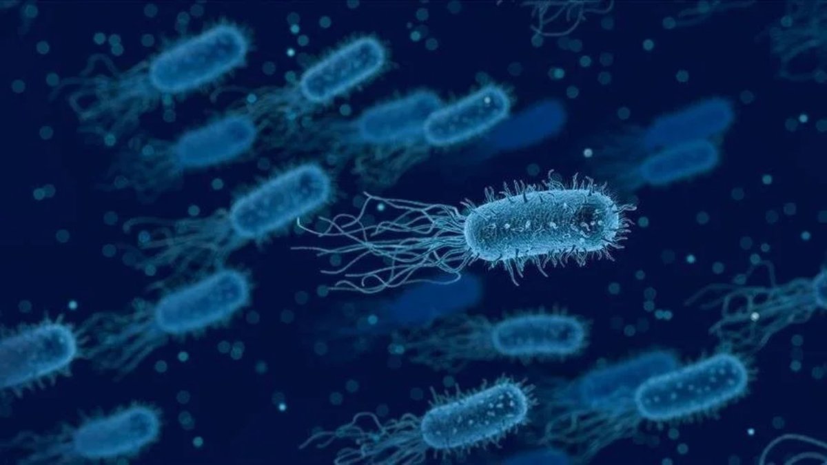 Yapay zekayla süper bakteriye karşı antibiyotik geliştirildi