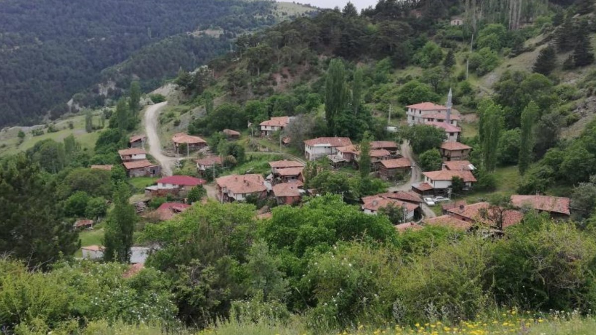 Kastamonu'da tüm oyların Cumhurbaşkanı Erdoğan'a çıktığı köy