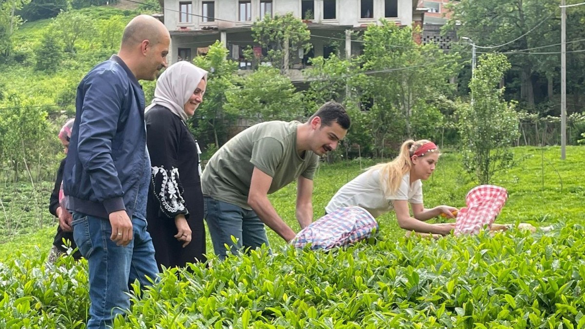 Rize'de İkizdere Kaymakamı eşiyle çay topladı, fabrikada çayın işlenmesini inceledi