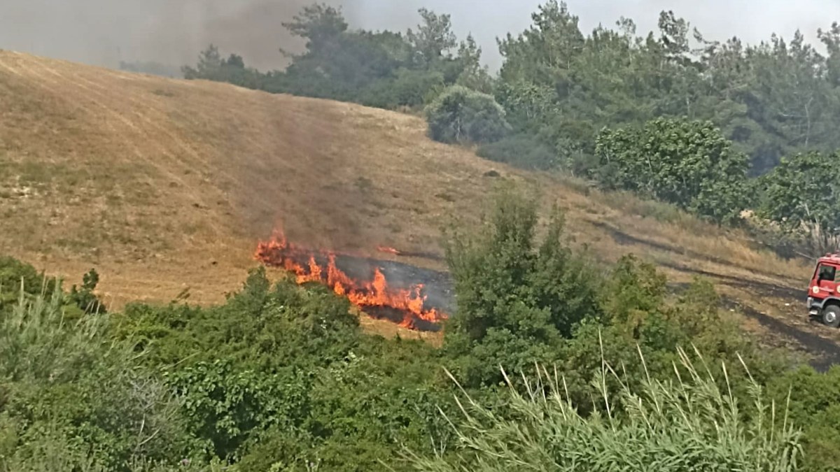 Adana'da anız yangını çevredeki ağaçlık alana sıçradı
