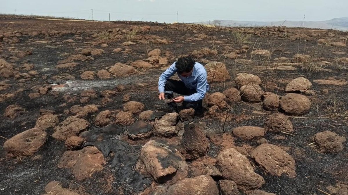 Gaziantep'te tarla yangını depremzede çiftçiye bir darbe daha indirdi
