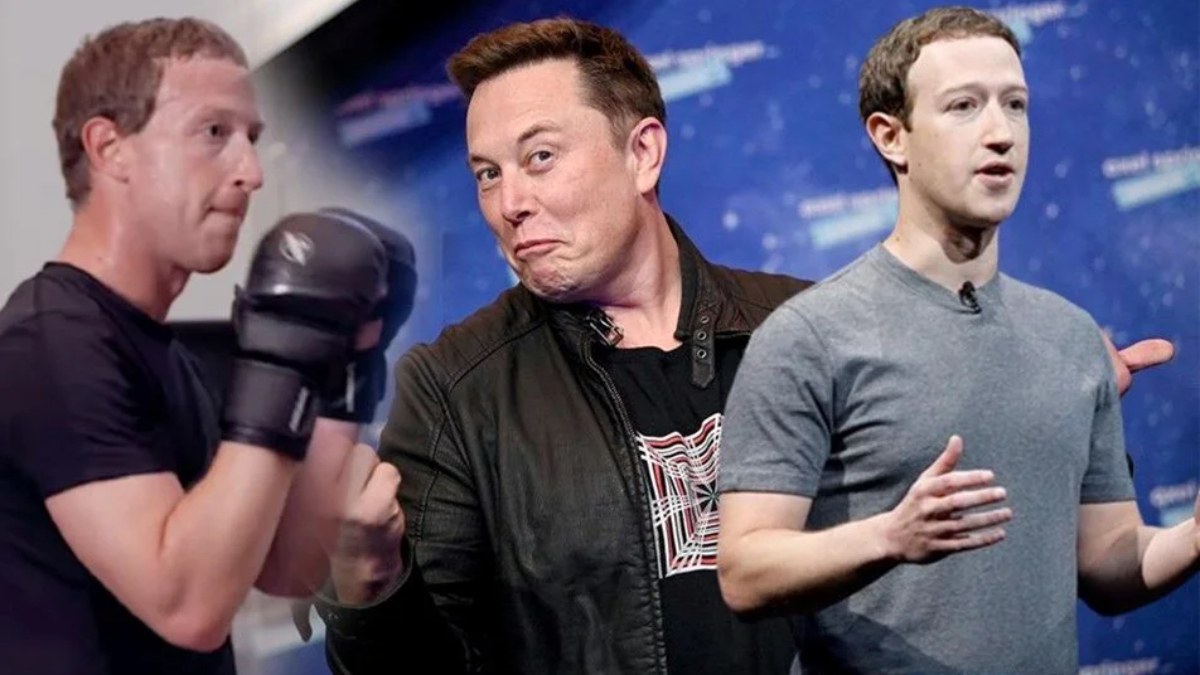 Elon Musk'ın kafes dövüşü teklifine Mark Zuckerberg'den yanıt! Konum at geliyorum