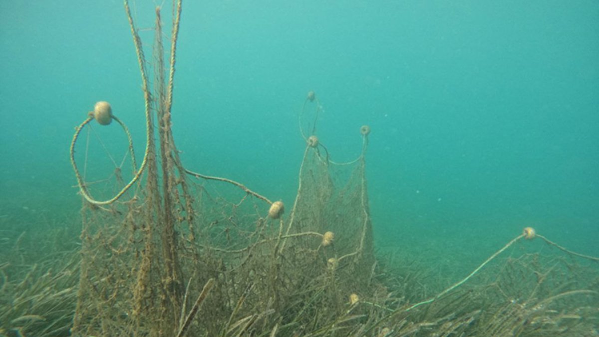Hayalet ağlar, Ege Denizi'nde endemik canlılara zarar veriyor