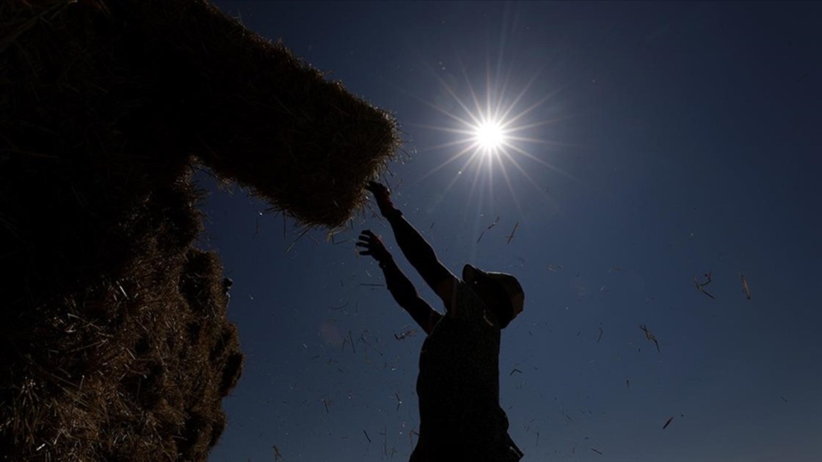 Dünya genelinde 900 milyon çiftçi için sıcaklık stresi alarmı