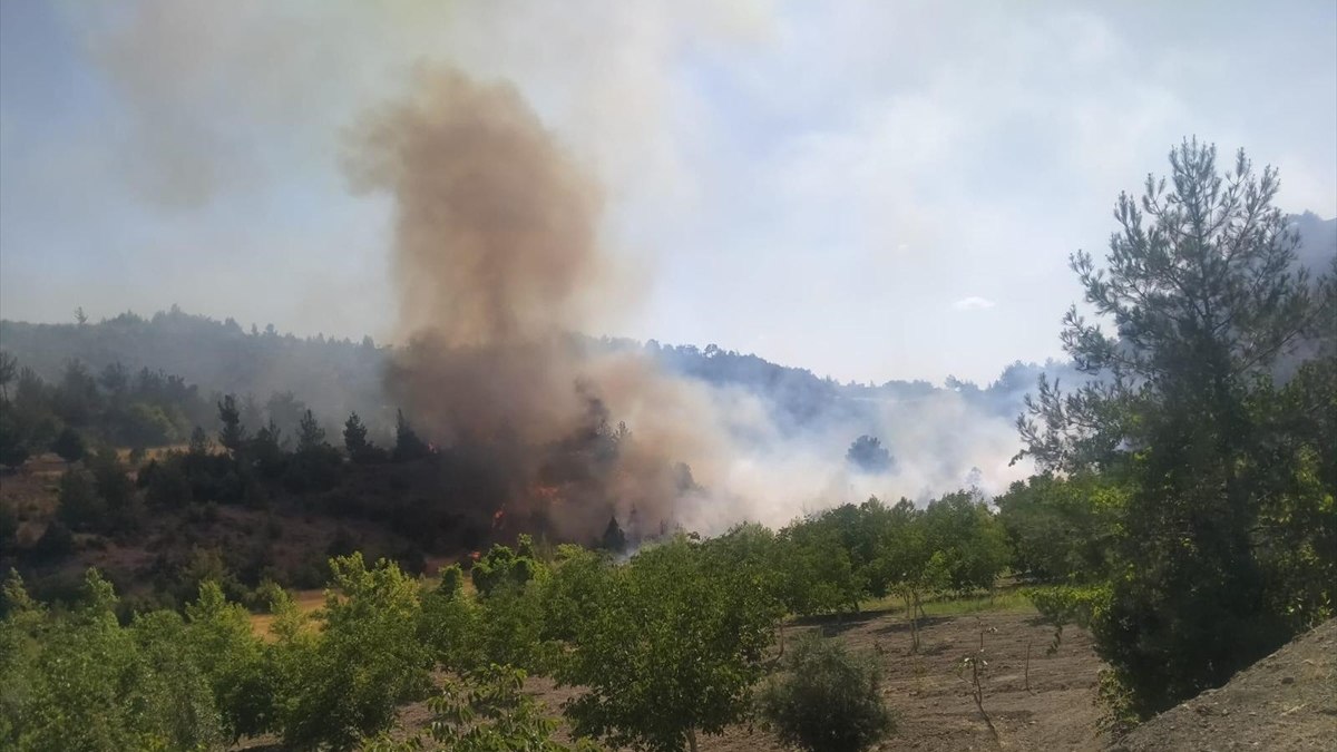 Kahramanmaraş'ta orman yangını başladı