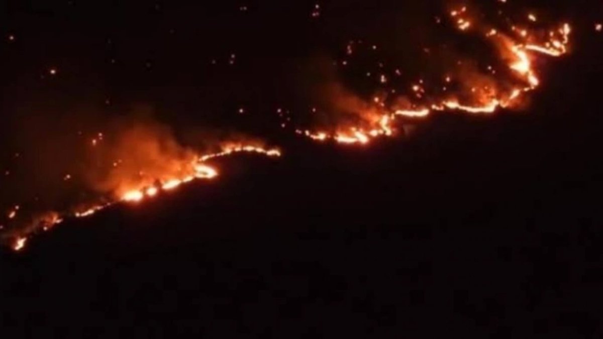 Cudi Dağı'ndaki yangına müdahale edilmiyor iddiası boş çıktı