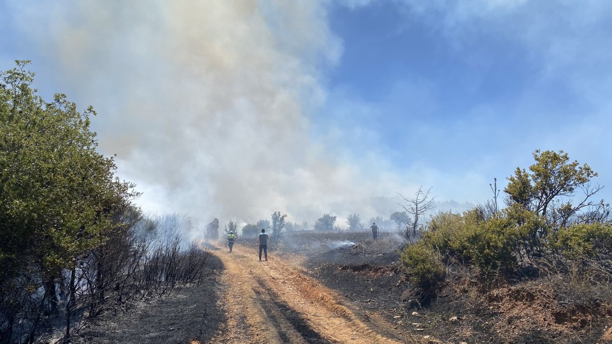 Manisa'da korkutan yangın 3 saat sonra kontrol altına alındı