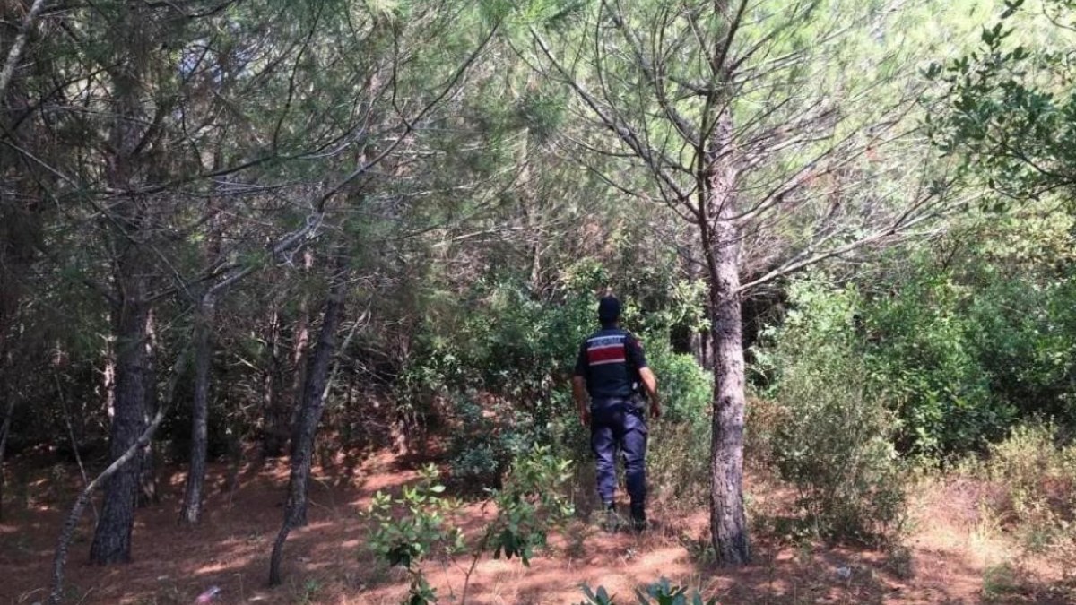 Aydın'da ormanda mangal yaktılar! 37 bin 555 TL para cezası