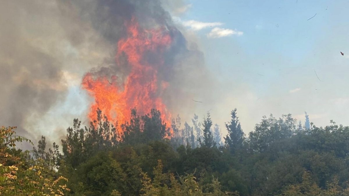 Çanakkale'de orman yangını