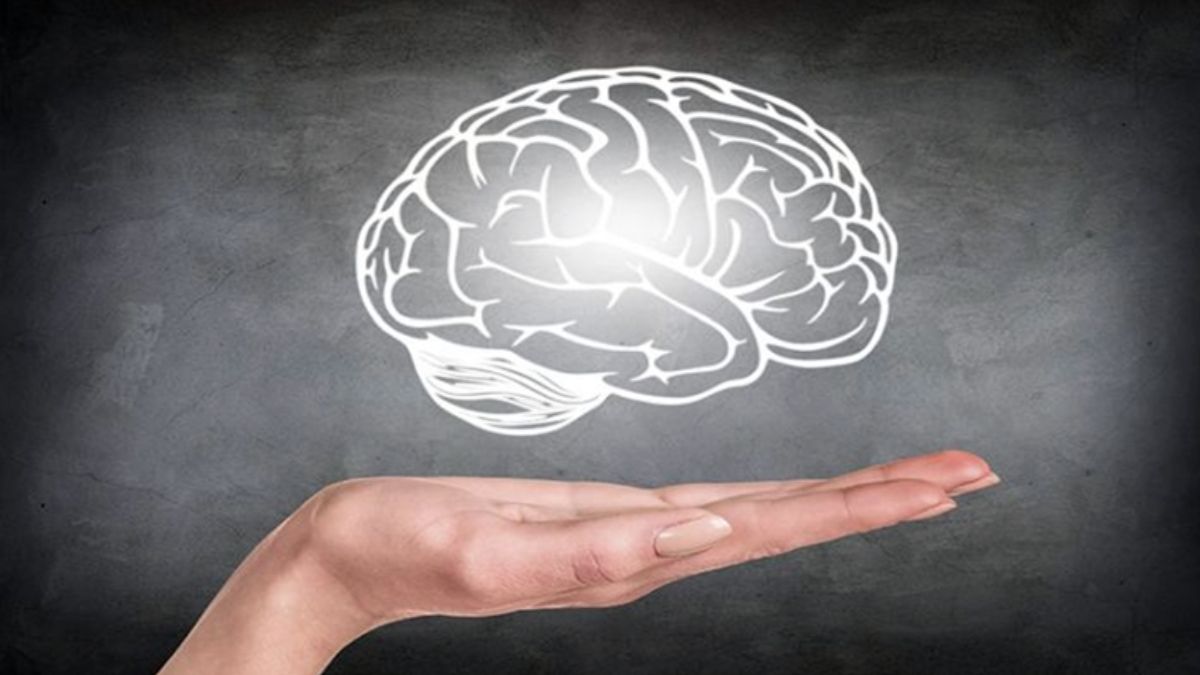 Zekasına güvenen gelsin! Sadece IQ’su yüksek olanlar testi fulleyebilecek