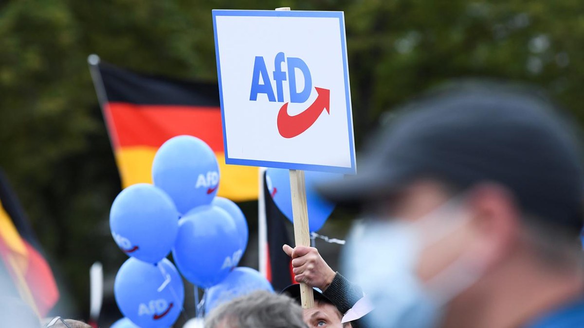 Almanya'da AfD Partisinin yükselişi, ülke için tehlikeli görülüyor