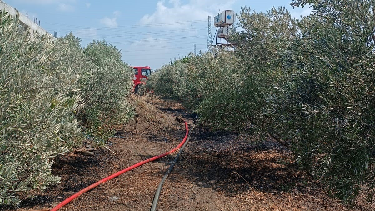 Hatay'da 2 farklı noktada yangın