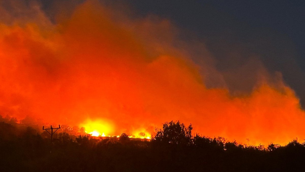 Diyarbakır'da orman yangını: Rüzgarın etkisiyle büyüdü