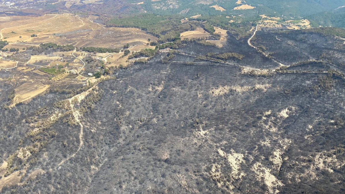AFAD'dan Çanakkale yangınıyla ilgili açıklama: Yardım ödemeleri başladı