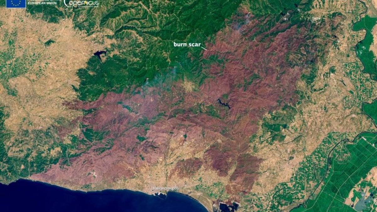 Yunanistan'da durdurulamayan orman yangını: AB tarihinin en büyüğü