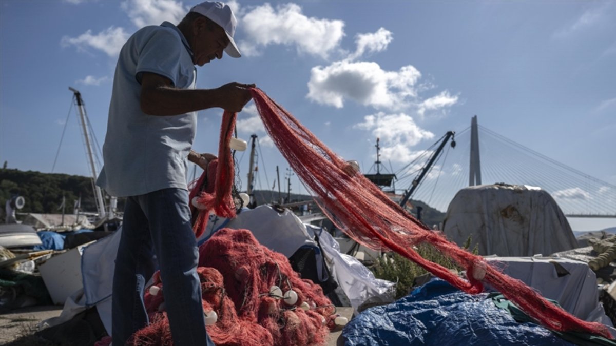 Balıkçıların sezon için tahmini: Palamut az, hamsi ve lüfer çok olacak