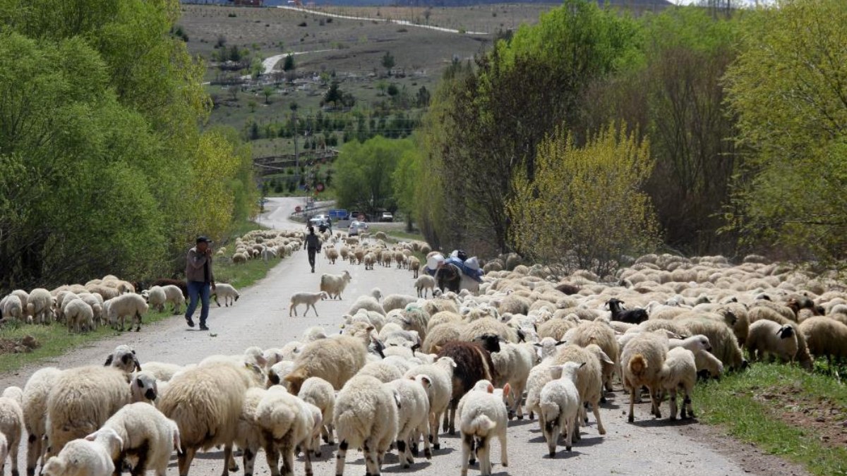 Erzincan'da yayla mesaisi biten göçerler dönüş yoluna geçti