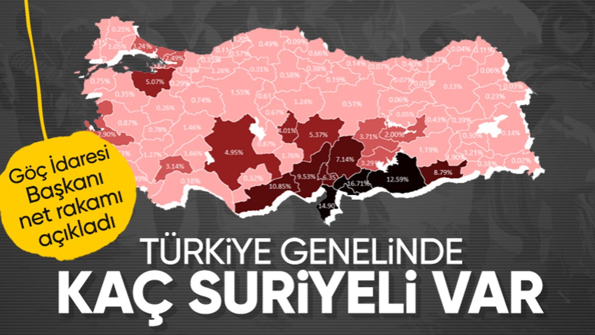 Türkiye'de yabancı sayısı açıklandı! 3 milyon 279 bin Suriyeli geçici korunma altında