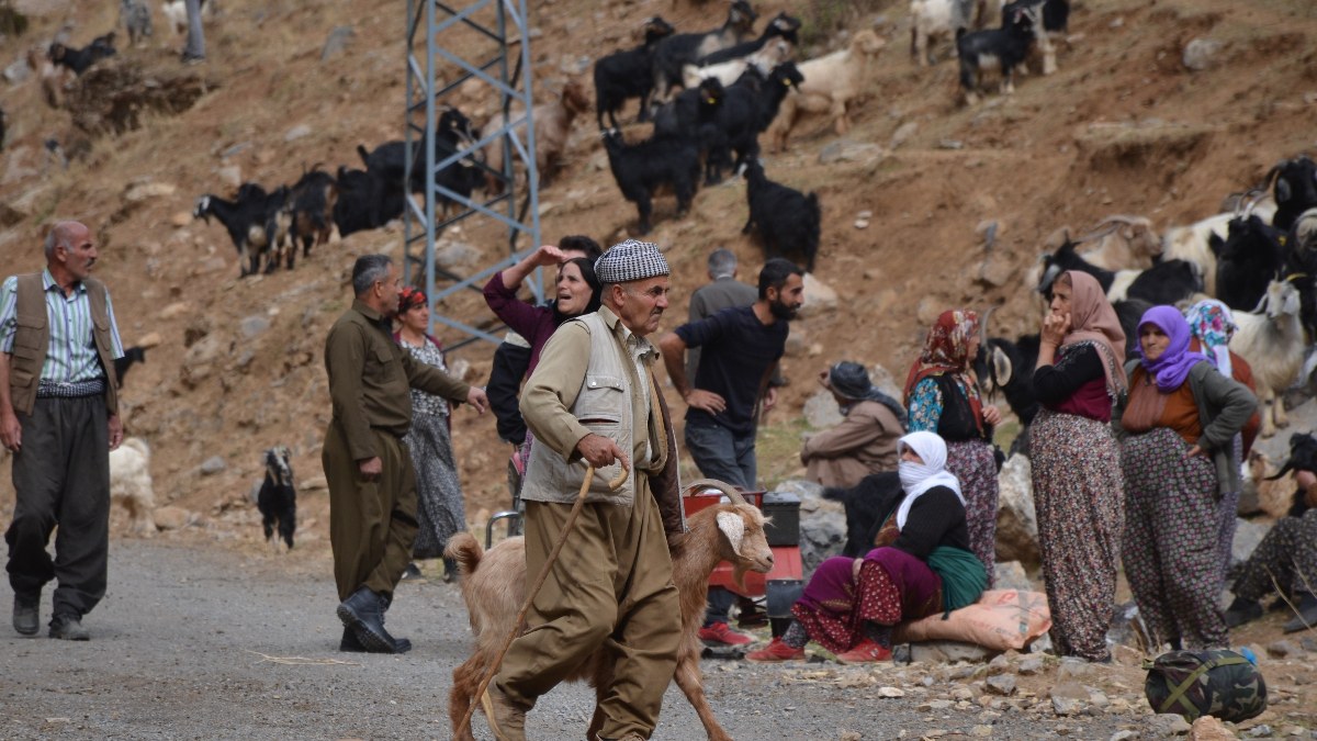 Şırnak'ta 35 bin lira maaş alan çobanların zorlu mesaisi sona erdi