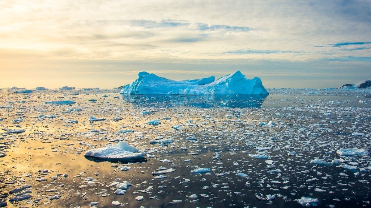 Antarktika'nın eriyen buzulları, okyanuslara 7.5 trilyon ton su saldı