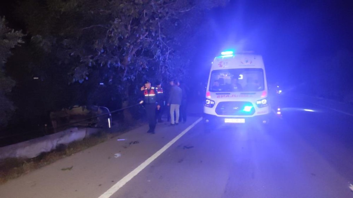 Bursa'da domuza çarparak zeytinliğe uçan araçtaki 2 kişi öldü