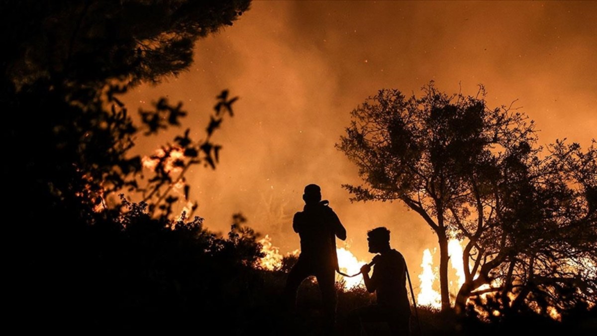 Türkiye'de 9 ayda 2 bin 197 orman yangınına müdahale edildi