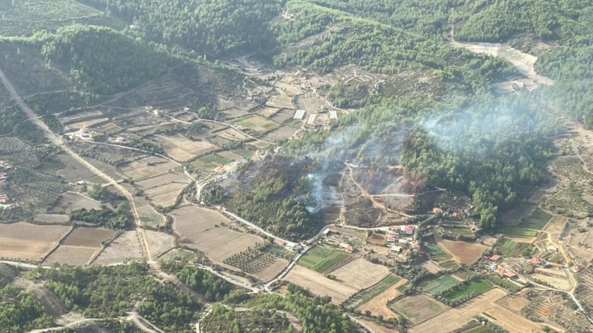 Muğla'da orman yangınında 4 hektar alan zarar gördü