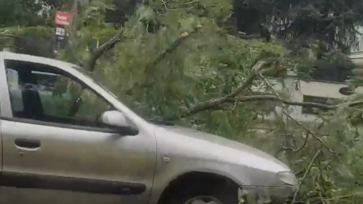 İstanbul'da fırtına başladı: Ağaç, otomobilin üzerine devrildi