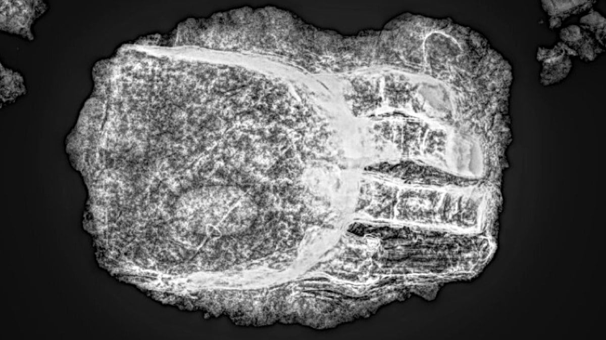 Orta Çağ’da gömülü iskeletin üzerinde gizemli protez el bulundu
