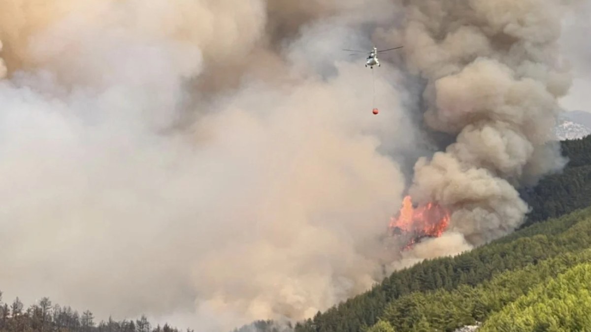 Bu yıl Türkiye'de şu ana kadar 2 bin 498 orman yangını çıktı
