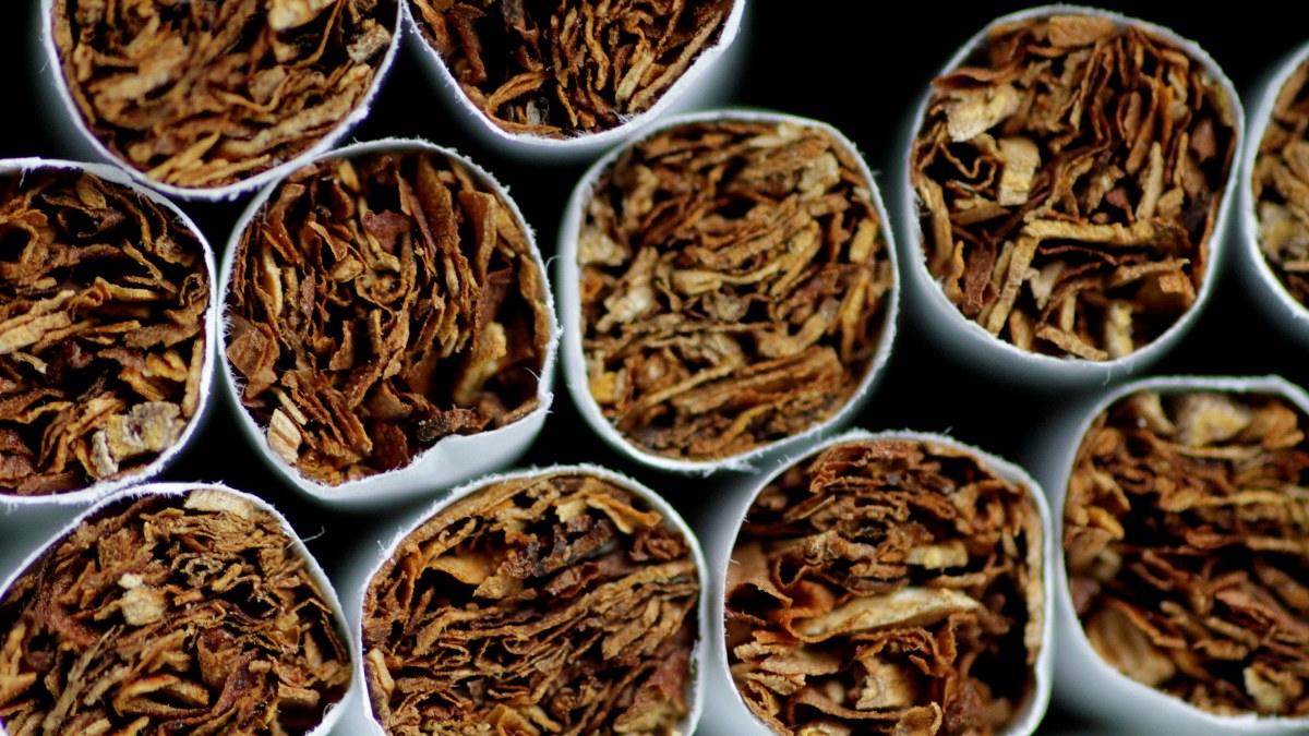 Yeni Zelanda, gelecek nesillere sigara içmeyi yasaklayan düzenlemeden vazgeçti