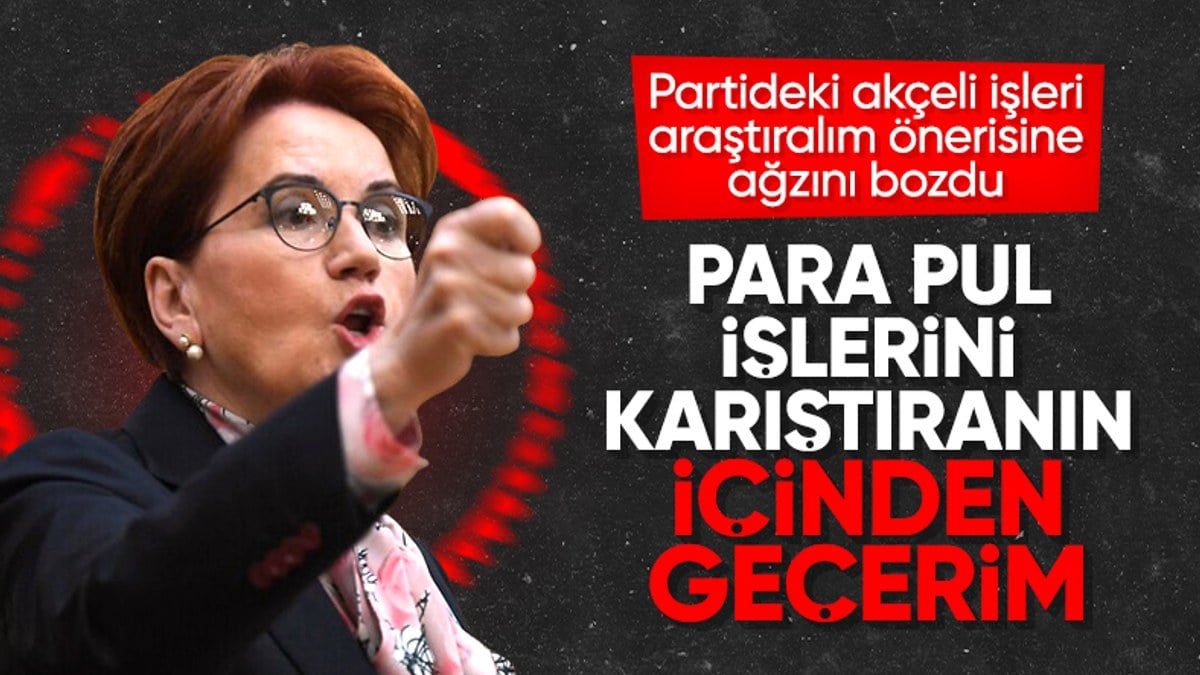 İyi Partili Arzu Önşen'in Meral Akşener'i şikayet dilekçesi ortaya çıktı
