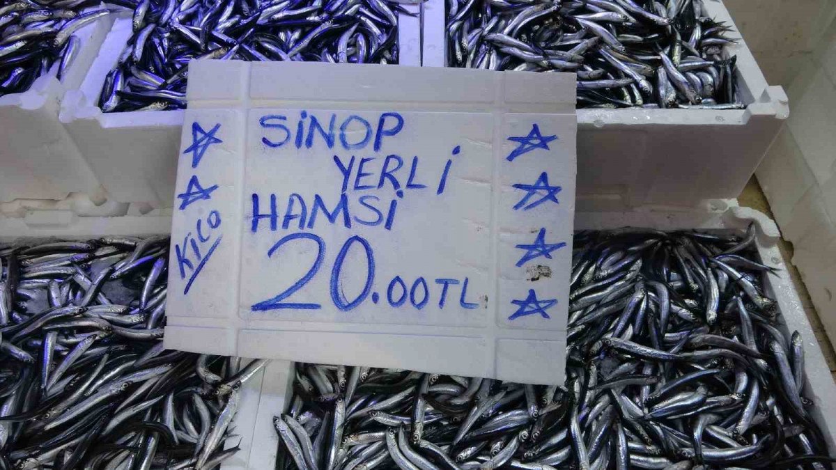 Sinop’ta balıkçı tezgahlarında hamsi bolluğu yaşandı: Kilosu 20 TL