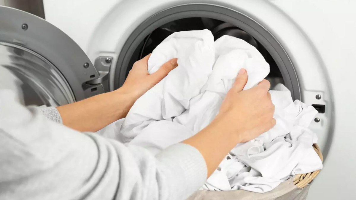 Çamaşır makinesine 8 tane kestane atın, bakın neler oluyor