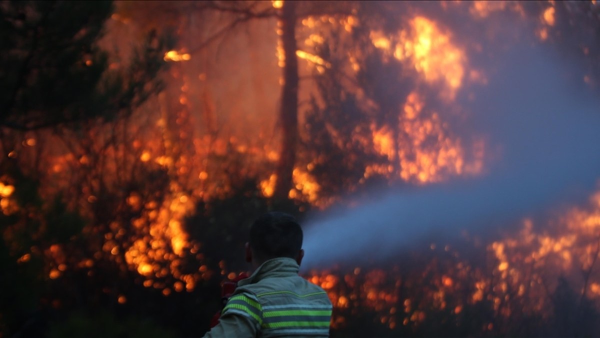 Dünyanın 2023 yılındaki büyük mücadelesi: Orman yangınları