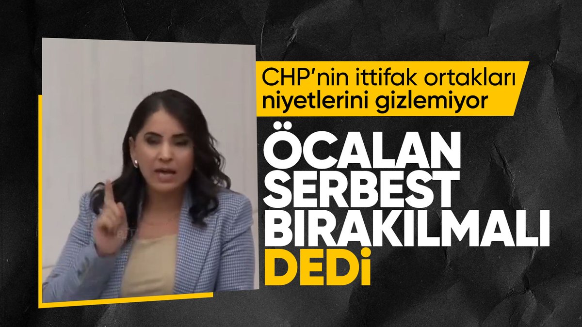 HDP'li vekilden TBMM'de Öcalan'a övgü
