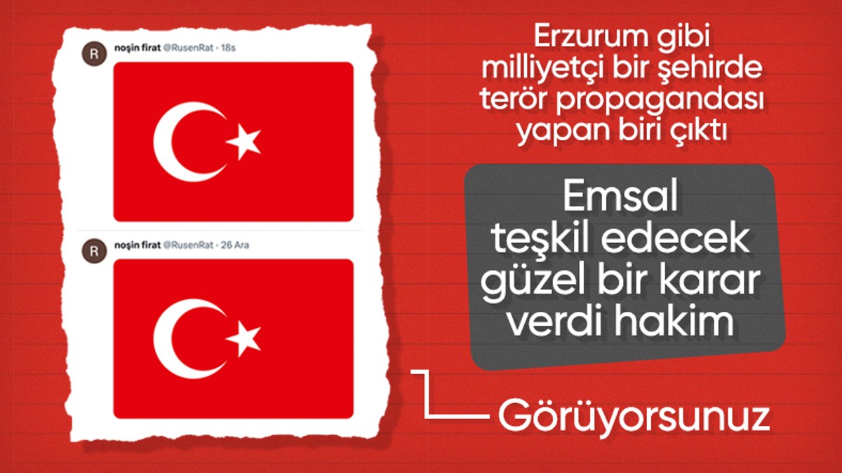 Terör propagandası yaptığı için gözaltına alındı: Türk bayrağı paylaşma cezası verildi
