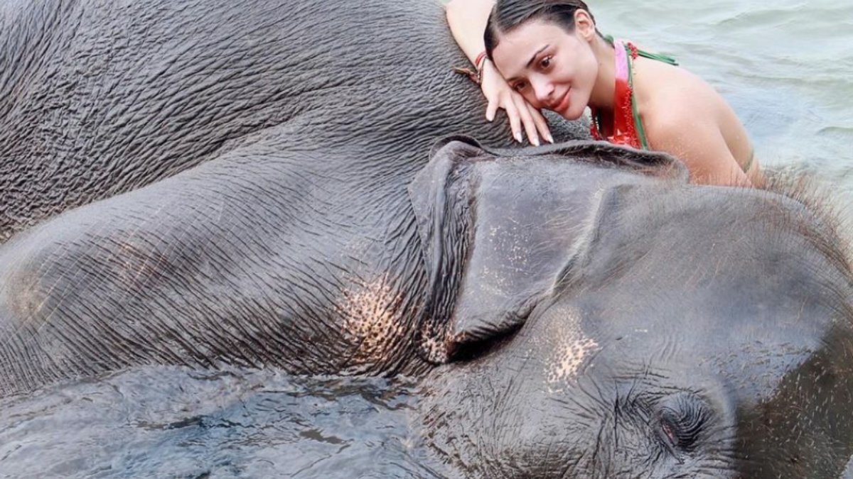 Oyuncu Rabia Soytürk'ün fille pozları olay oldu! Filin burnuna oturduğu kareye yorum yağdı
