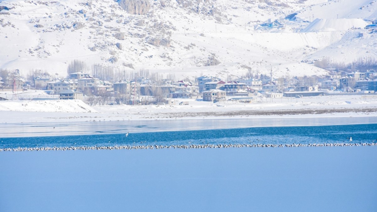 Van'da görülmeye değer manzara: Gölün üstü buz tuttu