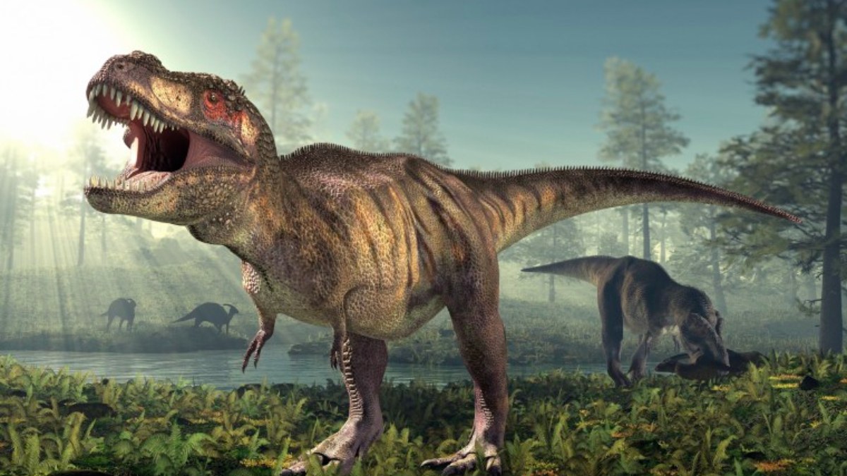T.Rex'in en yakın akrabasıyla tanışın: 71 milyon yıl önce yaşayan vahşi bir dinozorun kalıntıları keşfedildi