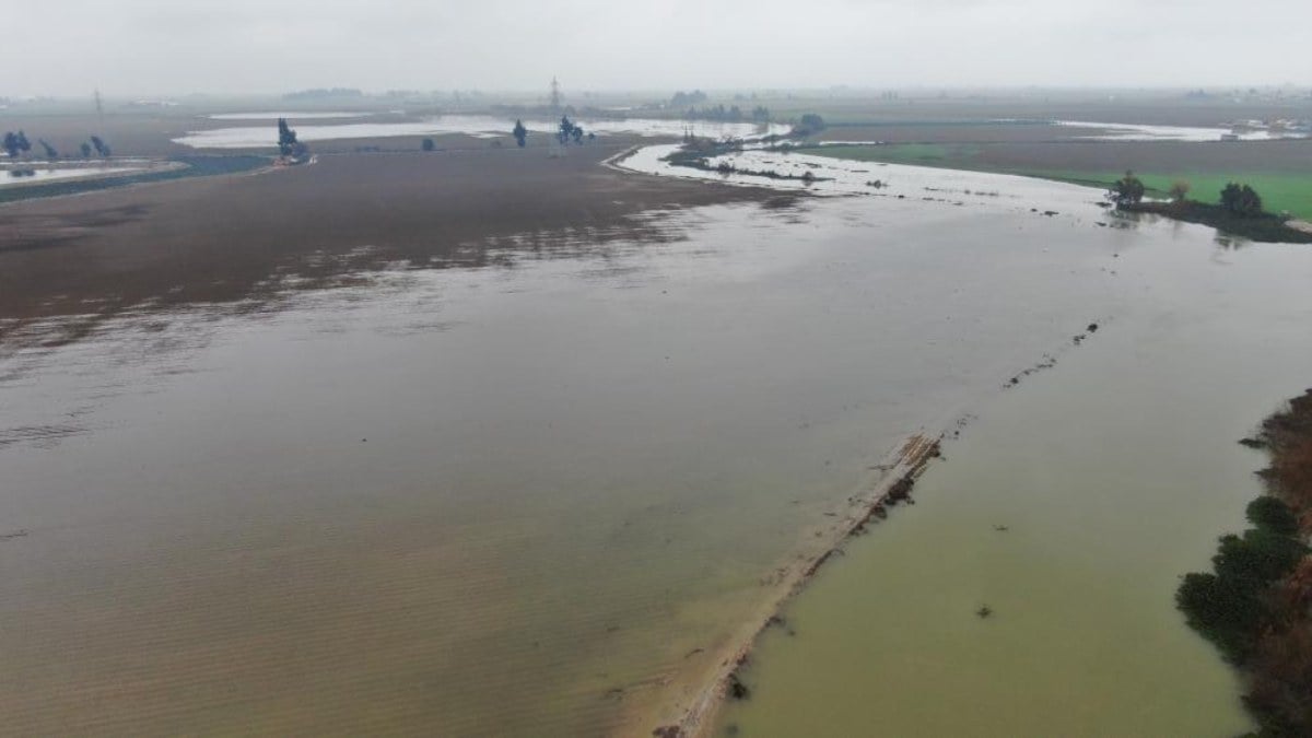 Hatay'da Asi Nehri taştı! Tarım arazileri su altında
