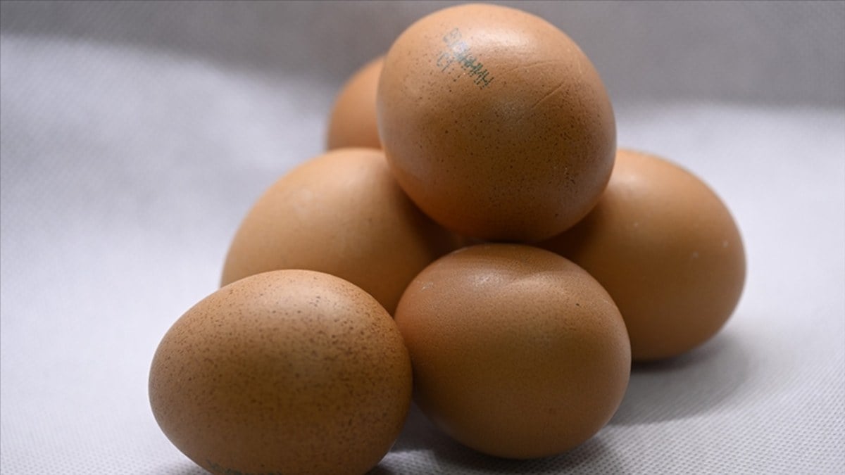 Rusya, yeni yılda Türkiye'den 1,5 milyon adet yumurta ithal etti