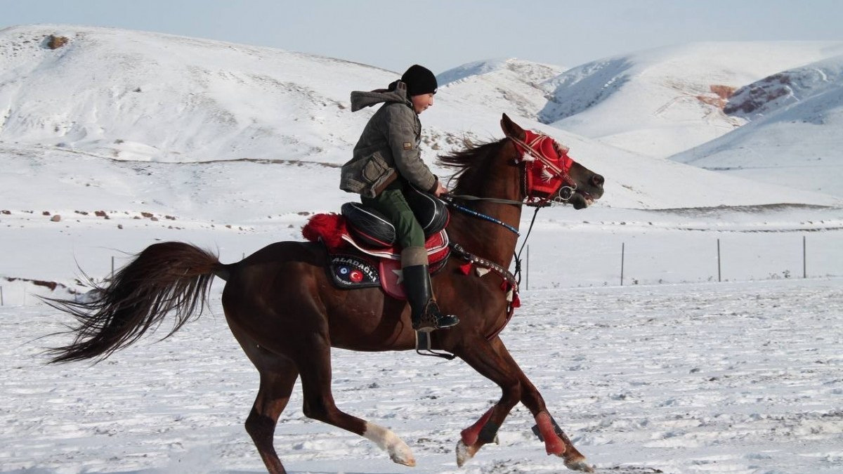 Soğuk havaya aldırış etmiyorlar! Erzincan ve Bayburt’ta ciritçiler ata sporunu yaşatıyor