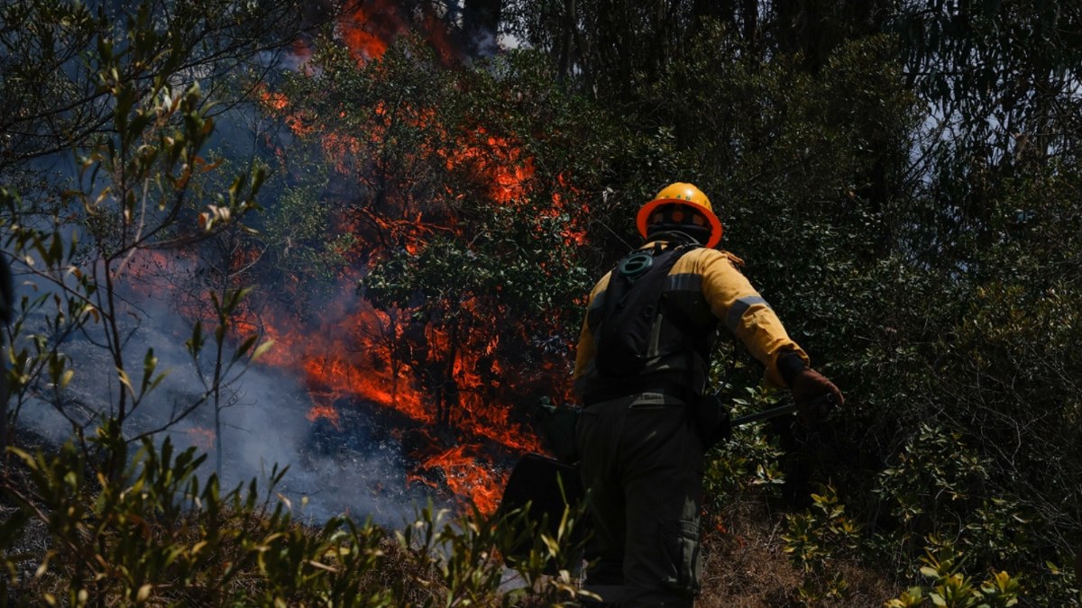 Kolombiya'da orman yangınları devam ediyor: 681 kasabada kırmızı alarm verildi