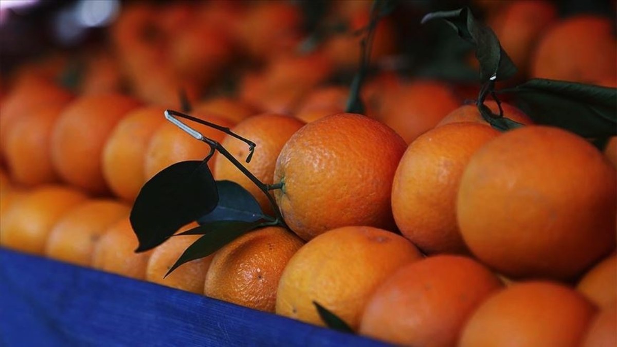 Ocak 2024'te en fazla fiyat farkı portakalda! Üretici ve market arasındaki fark yüzde 404