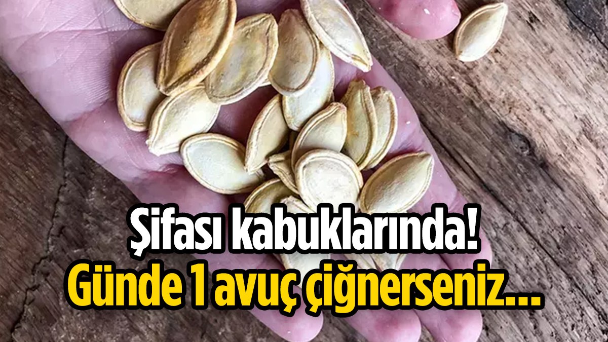 Günde 1 avuç kabak çekirdeği kabuğu çiğneyin, bakın ne oluyor…