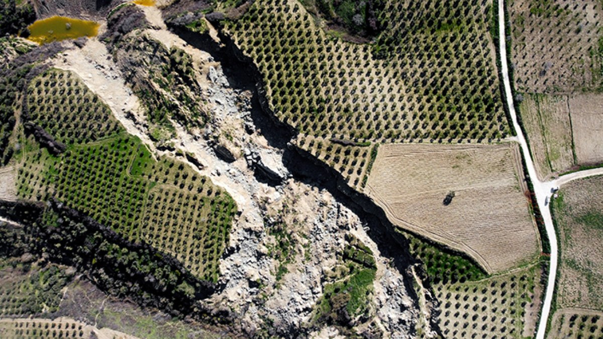 Hatay'da zeytinlikte oluşan 400 metrelik yarık, depremin simgelerinden oldu