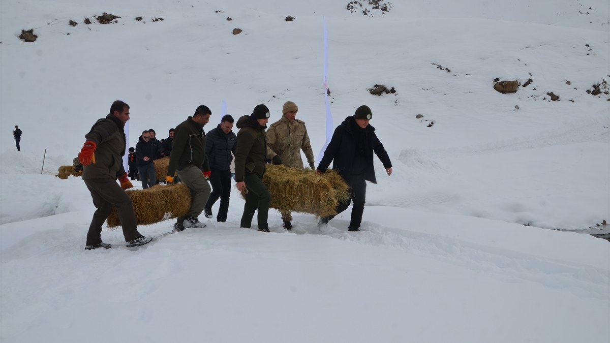 Soğuk hava yaşam şartlarını zorladı! Muş, Varto'da yaban hayvanları için doğaya yem bırakıldı