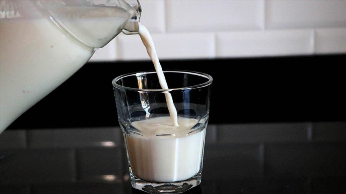 Türkiye'de toplanan inek sütü miktarı arttı