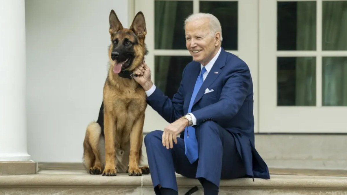 ABD Başkanı Biden'ın köpeği Commander, 24 Gizli Servis personelini ısırdı